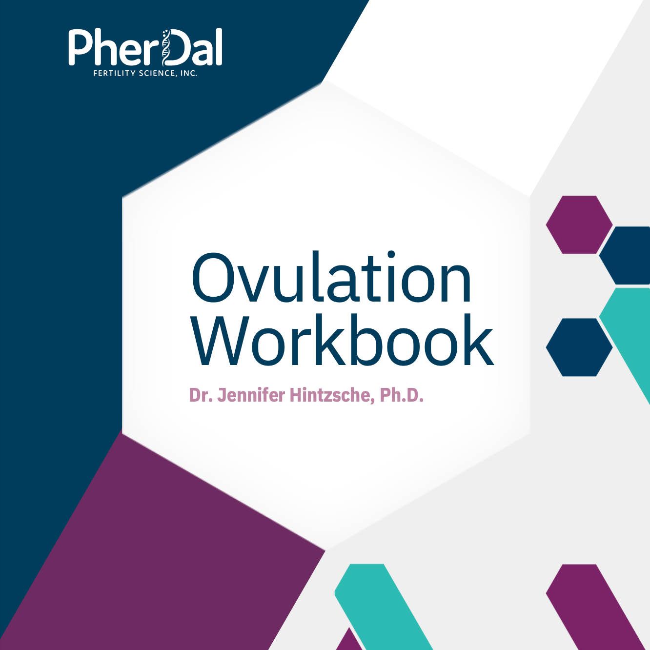 Ovulation Workbook - Digital Download